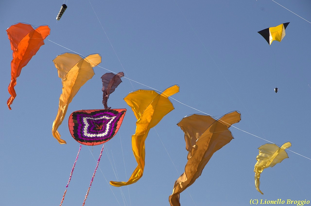 32 FESTIVAL CERVIA 2012 - 082.jpg